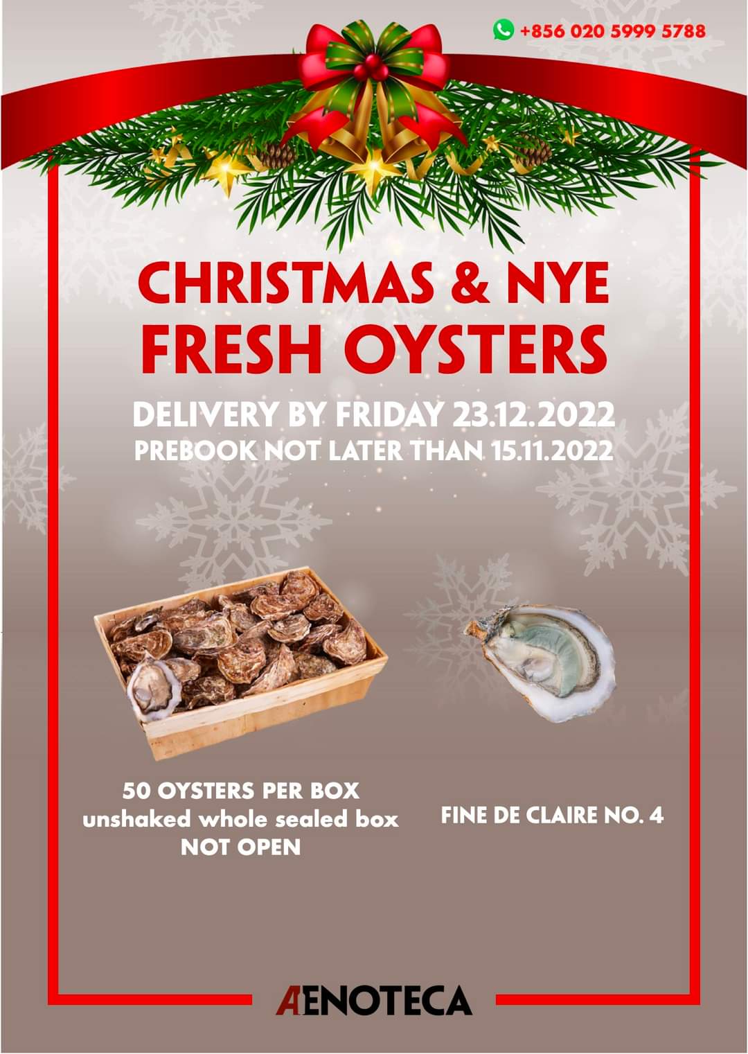 You are currently viewing Christmas & NYE Fresh Oysters 🦪